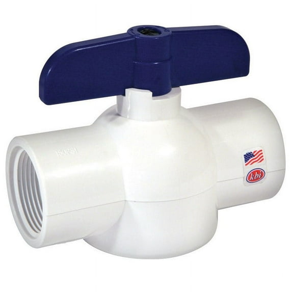 KBI King Brothers Ball Valve 2 in. FPT x 2 in. Dia. FPT PVC Economy