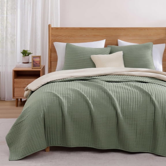 King Basil Green 3-Piece All Season Bedding Quilt Set