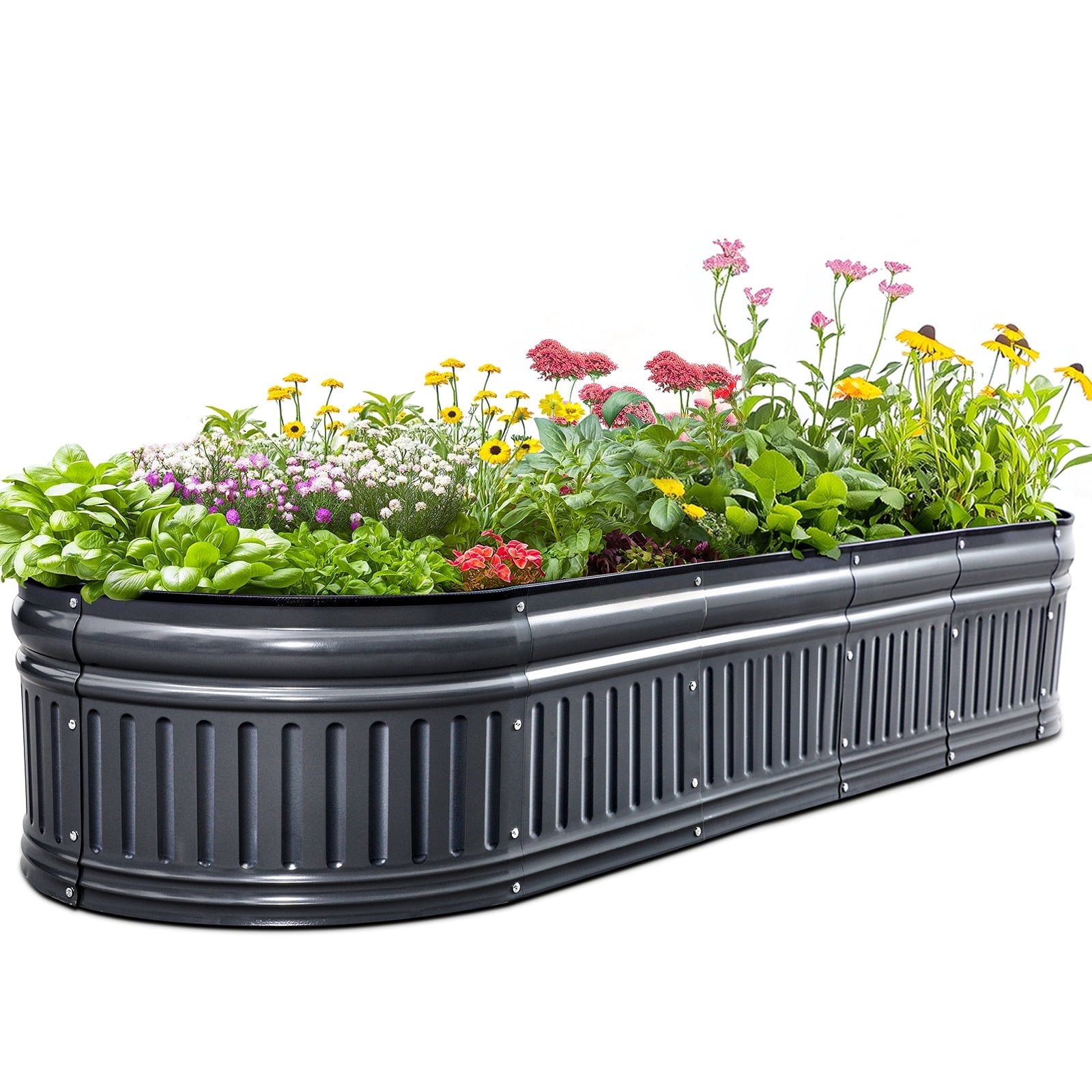 Walmart Saving of  King Bird 6x2x1 ft Raised Garden Bed Kit Elevated Planter Box Galvanized Steel for Indoor Outdoor for Vegetables Flowers Patio Gardening Dark Gray