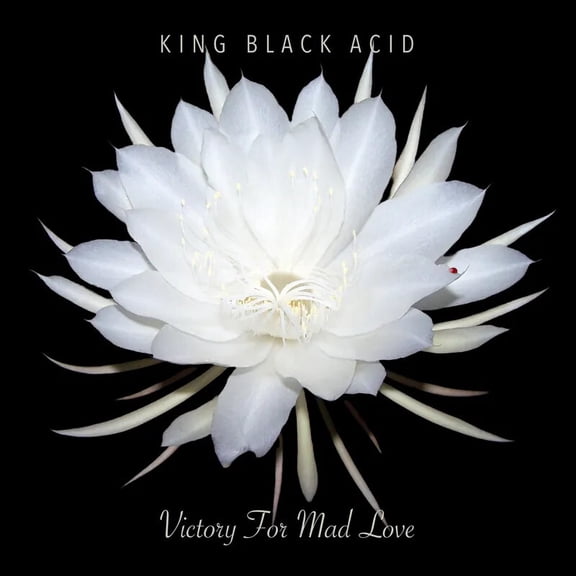 King Black Acid - Victory For Mad Love [LP Vinyl]