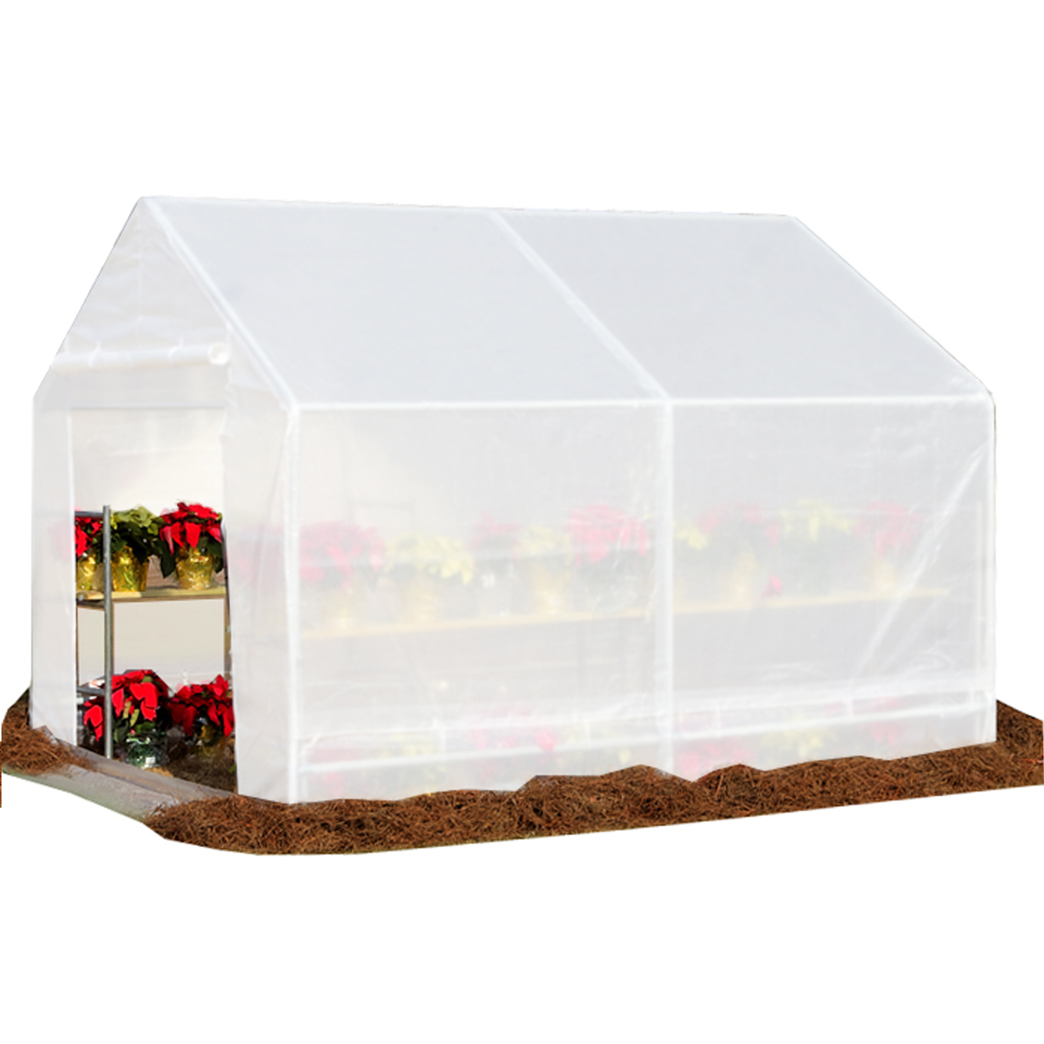 King Canopy Greenhouse 10' x 10' , 1 3/8 in. Steel Frame, 6-LEG, Opaque - image 1 of 7