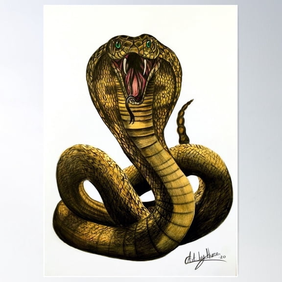 King Cobra Snake Poster Wall Art Vintage Style Wall Decor Physical Poster, Poster Only