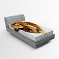 thumbnail image 1 of Ambesonne King Fitted Sheet, Roaring Fierce Lion Head, Twin XL Size, Pale Brown, 1 of 2