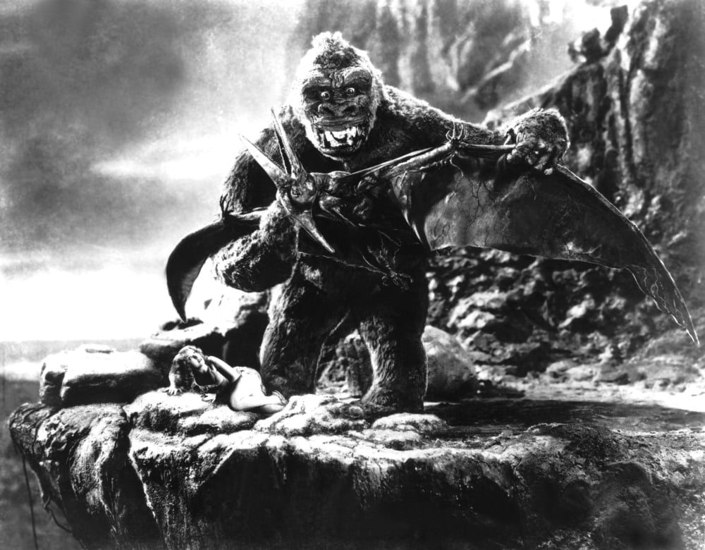 King Kong Canvas Art - (20 x 16)