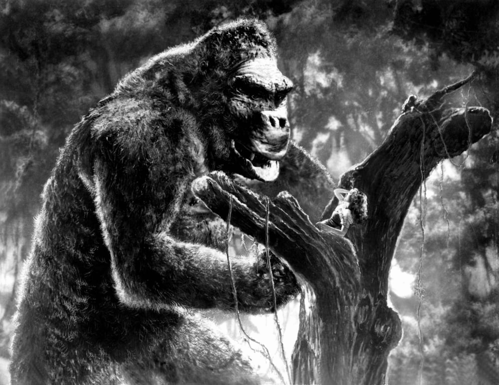 King Kong Canvas Art - (20 x 16)