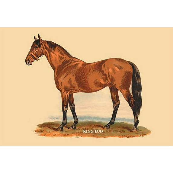 King Lud Fine art canvas print (20" x 30")