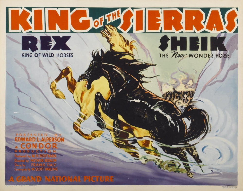 King Of The Sierras Canvas Art - (28 x 22)