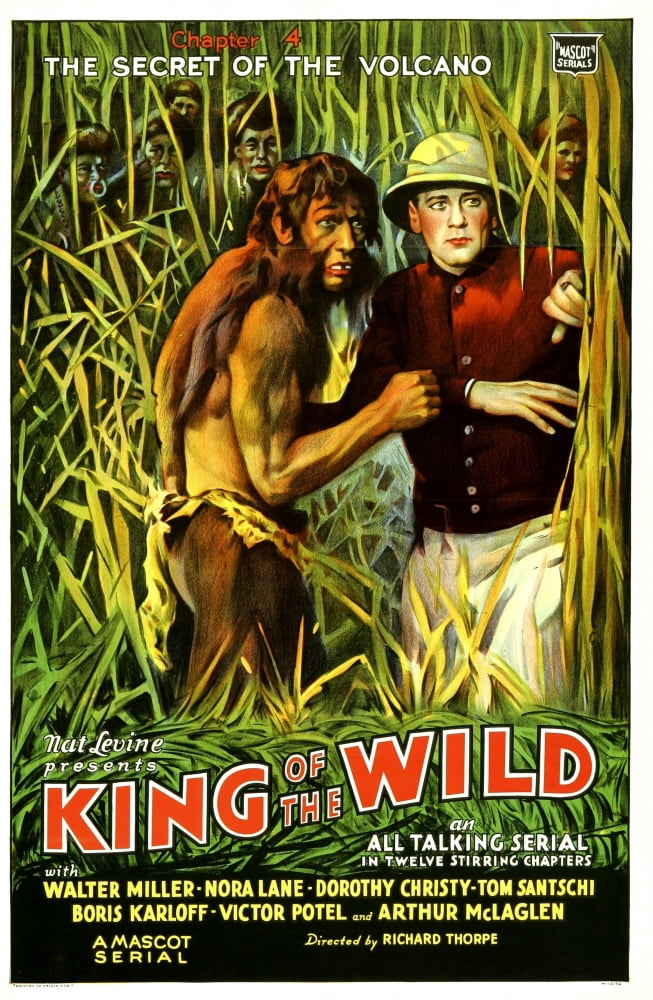 King Of The Wild Canvas Art -  (24 x 36)