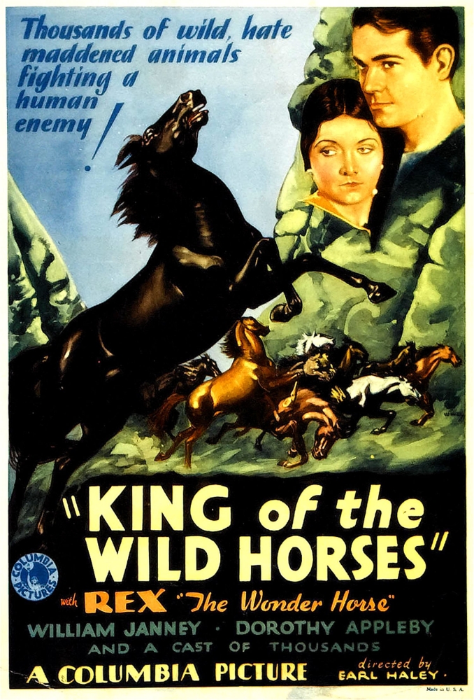 King Of The Wild Horses Canvas Art - (11 x 17)