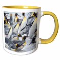 thumbnail image 1 of King Penguin, S Georgia, rookery on Salisbury Plain in Bay of Isles. 11oz Two-Tone Yellow Mug mug-329416-8, 1 of 3