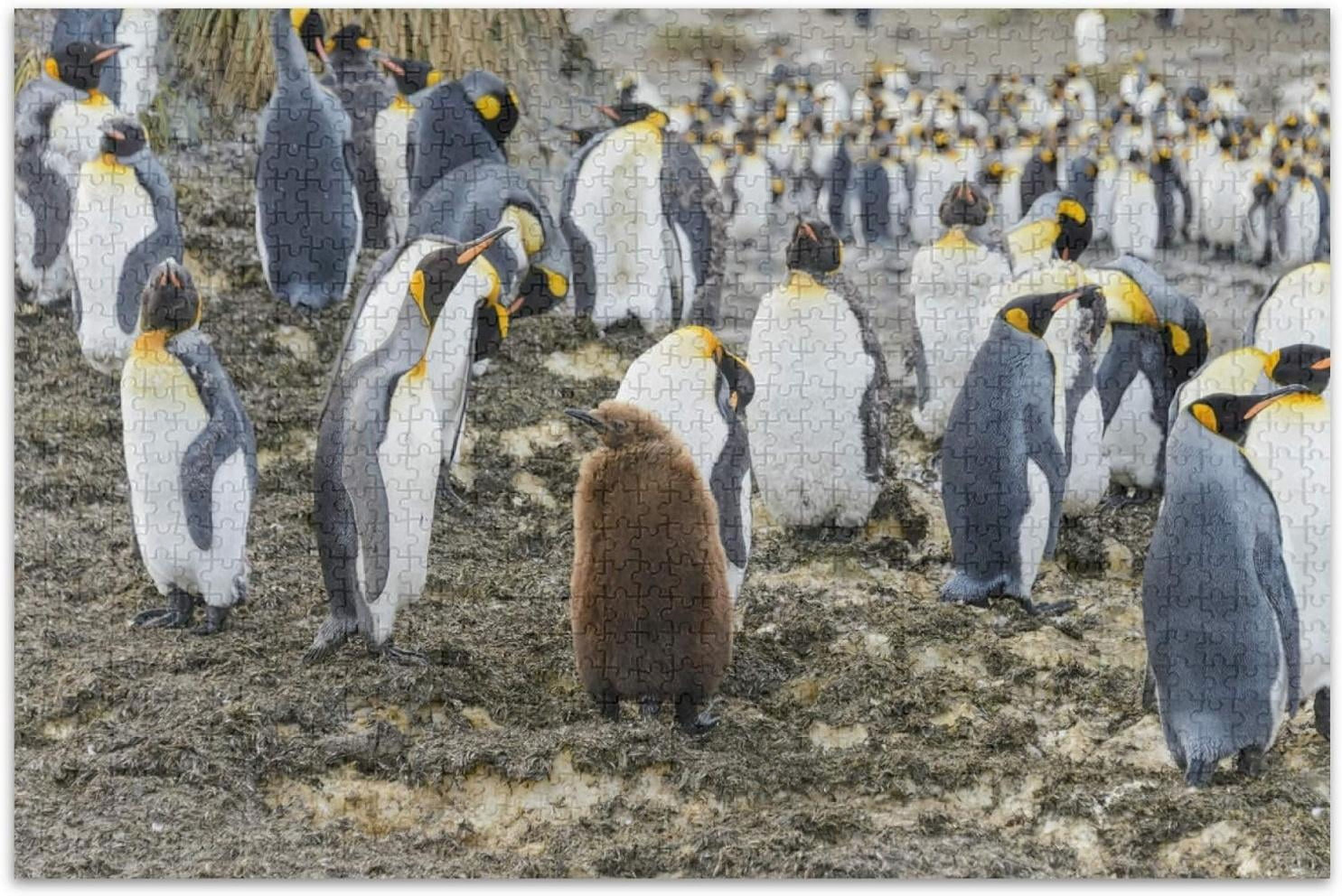 King Penguins Jigsaw Puzzle 500 Pieces Wooden Jigsaw Puzzles for Adults ...