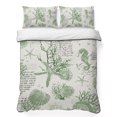thumbnail image 1 of King Quilt Set 96''x106'', Sage Green Coastal Lightweight Summer Bedspread Coverlet Set with 2 Pillow Shams, Coral Starfish Nautical Compass Breathable All Season Quilt Bedding for Bedroom/Guest Room, 1 of 9