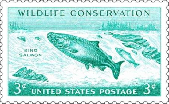 King Salmon Canvas Art - US POSTAL SERVICE (12 x 18)