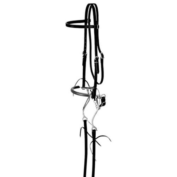 King Series Black Browband Bridle with Hackamore Horse Tack Equine 42-3338