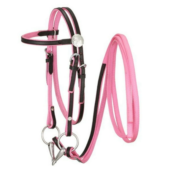 King Series Miniature Nylon with Leather Bridle