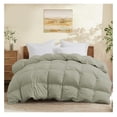 thumbnail image 1 of King Size Down Comforter - All Season Ultra Soft Goose Down & Fiber Fill, Luxury Hotel Sage Green Duvet Insert with Corner Tabs (104" X 88"), 1 of 7