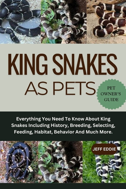 King Snakes as Pets: Everything You Need To Know About King Snakes ...