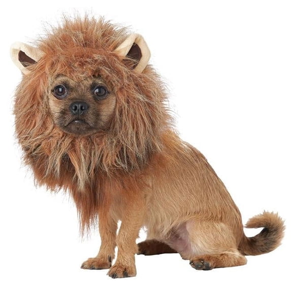 King of Jungle Pet Costume - Large