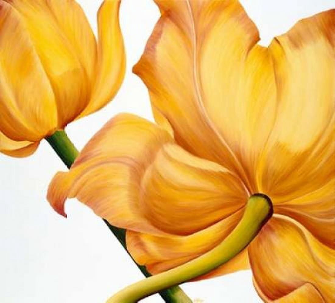 King yellow Canvas Art - Yvonne Poelstra-Holzhaus (24 x 24)