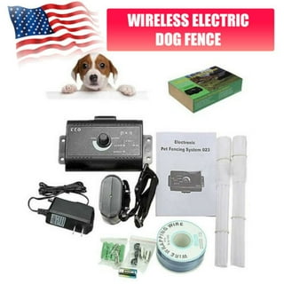 Electric dog fence at walmart hot sale