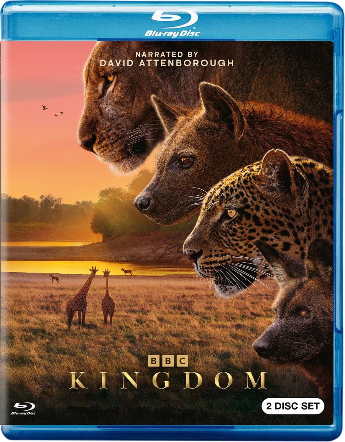 BBC, Kingdom Blu-ray, Wildlife Drama, Animal Families in Zambia