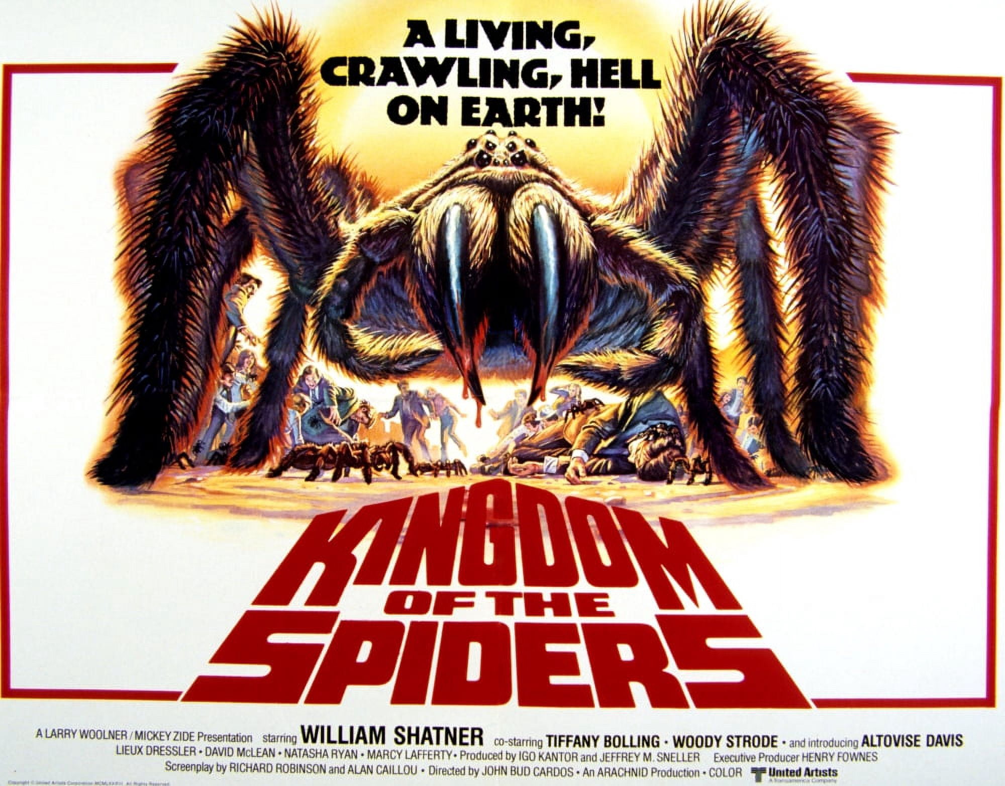 Kingdom Of The Spiders Canvas Art - (28 x 22)