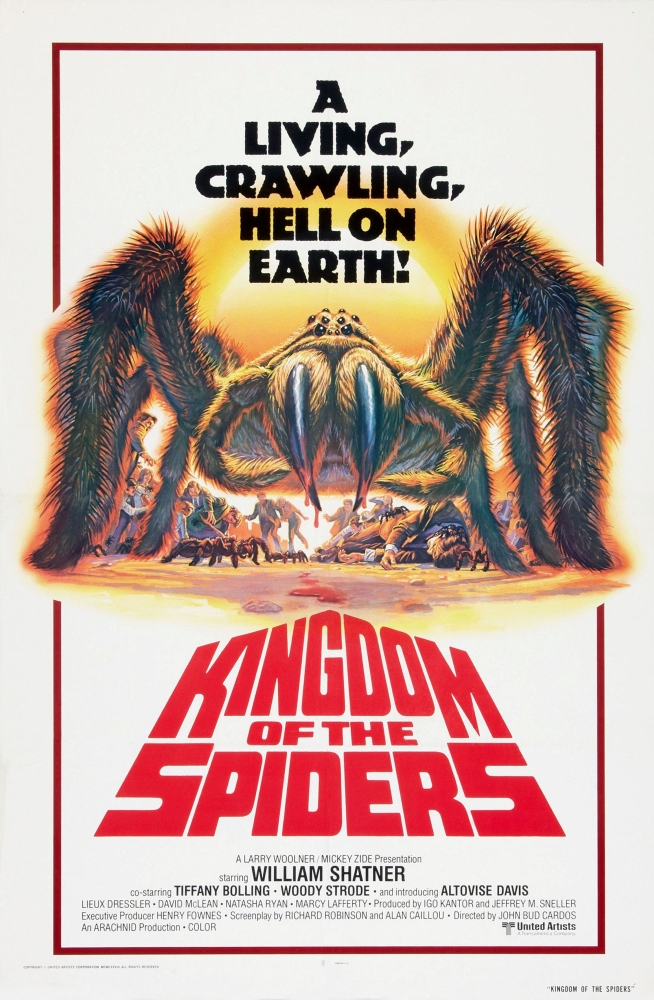 Kingdom Of The Spiders U Canvas Art - (11 x 17)
