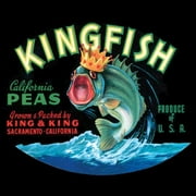 Kingfish Poster Print - Studio Vision (24 x 24)