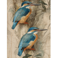thumbnail image 1 of Kingfisher Bird Vintage Canvas Wall Art Print, Living Room Bedroom Study Hallway Decor, 1 of 8