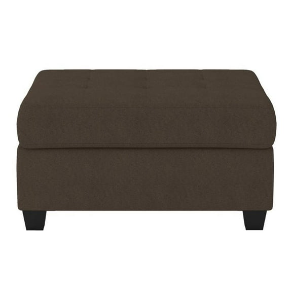 Kingfisher Lane Microfiber Ottoman with Storage in Chocolate