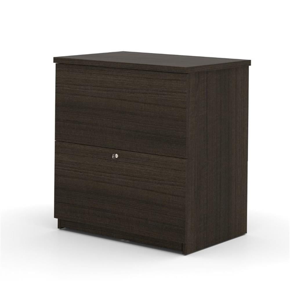 Dark Brown Mobile 2-Drawer Lockable Lateral File Cabinet