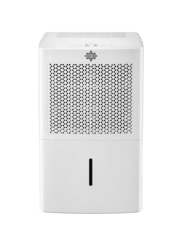 Basement Dehumidifiers in Dehumidifiers