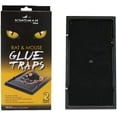 thumbnail image 1 of Kingman Prime Mouse Trap Rat Trap Glue Trap/Board (Medium Size) (2 Traps) Rodent Trap Safe Easy Non-Toxic, 1 of 6