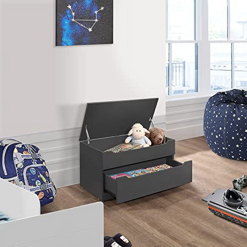 Gray Wooden Storage Bench Toy Chest with Drawer