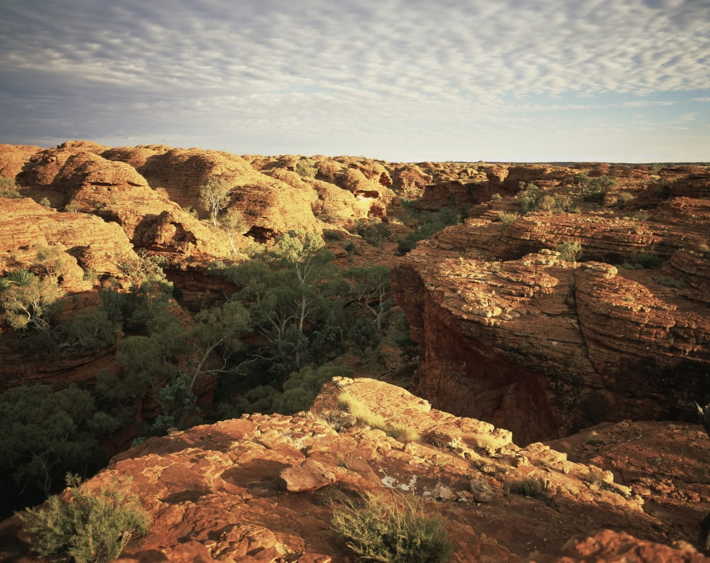 Kings Canyon Central Australia Northern Territory Australia Canvas Art - David Kirkland Design Pics (34 x 26)