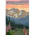thumbnail image 1 of Kings Canyon National Park, Bear Family and Spring Flowers (12x18 Wall Art Poster, Room Decor), 1 of 3