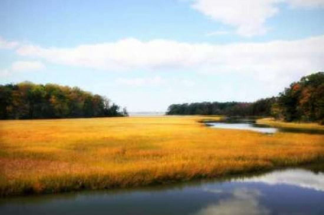 Kings Creek I Canvas Art - Alan Hausenflock (20 x 28)