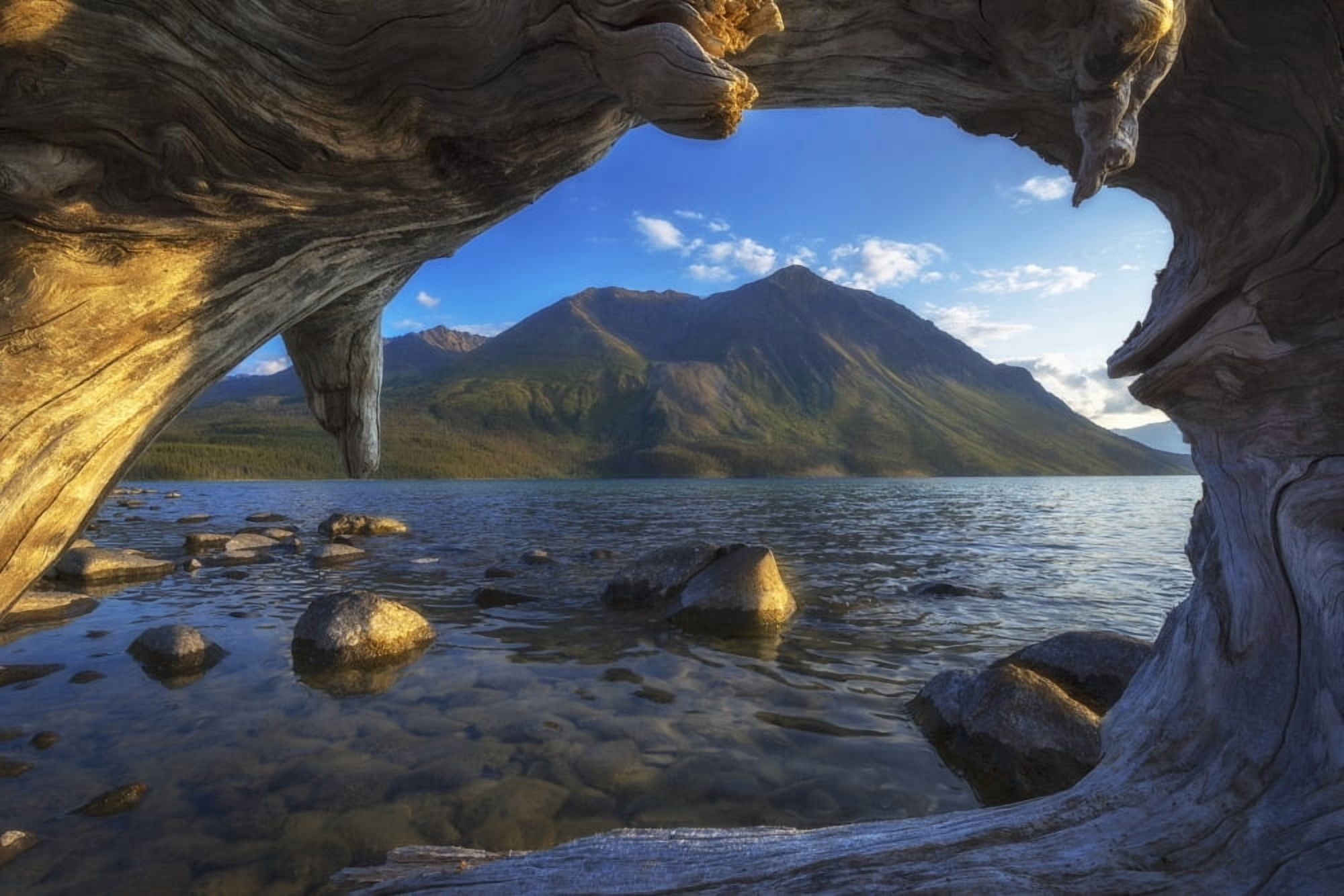 Kings Throne rises above Kathleen Lake in Kluane National Park Yukon Canada Canvas Art - Robert Postma Design Pics (19 x 12)