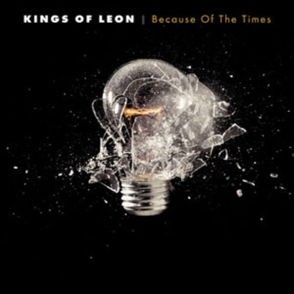 Kings of Leon - Because of the Times - Music & Performance - Vinyl