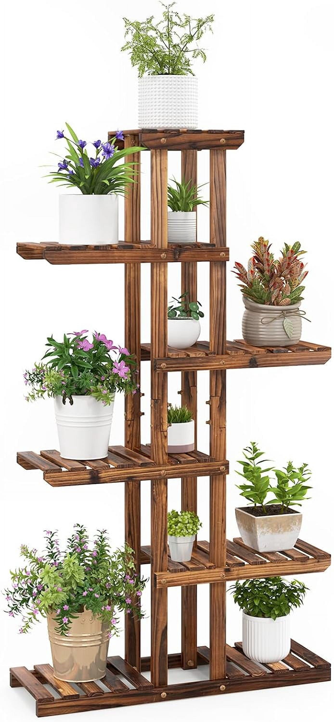 Bonsai Stand Outdoor