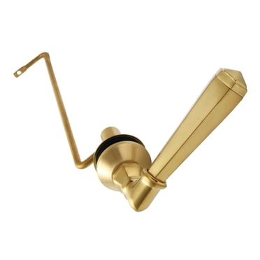 Kingston Brass Buckingham Universal Front Or Side Mount Toilet Tank Lever, Polished Brass - KTBLD2