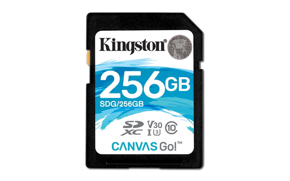 Kingston Digital Canvas Go! 256GB SDXC Class 10 SD Memory Card UHS-I 90MB/s R 45MB/s (SDG/256GB) - image 1 of 6