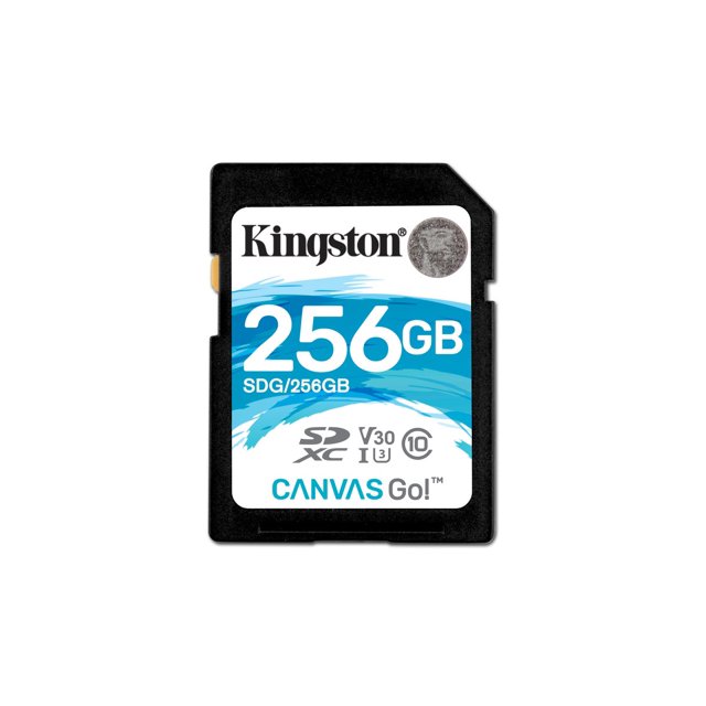 Kingston Digital Canvas Go! 256GB SDXC Class 10 SD Memory Card UHS-I 90MB/s R 45MB/s (SDG/256GB)