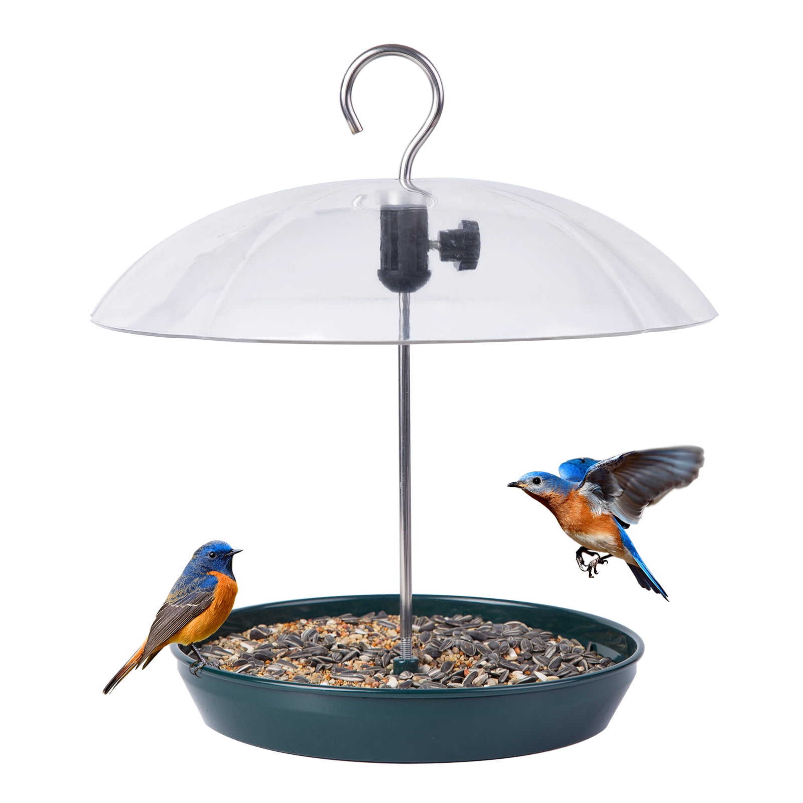 Adjustable Dark Green Metal Hanging Bird Feeder with Clear Dome