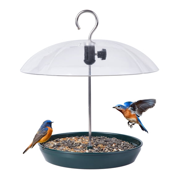 Kingsyard Adjustable Metal Wild Bird Platform Feeder with Clear Dome, 2.5 lb Capacity, Green