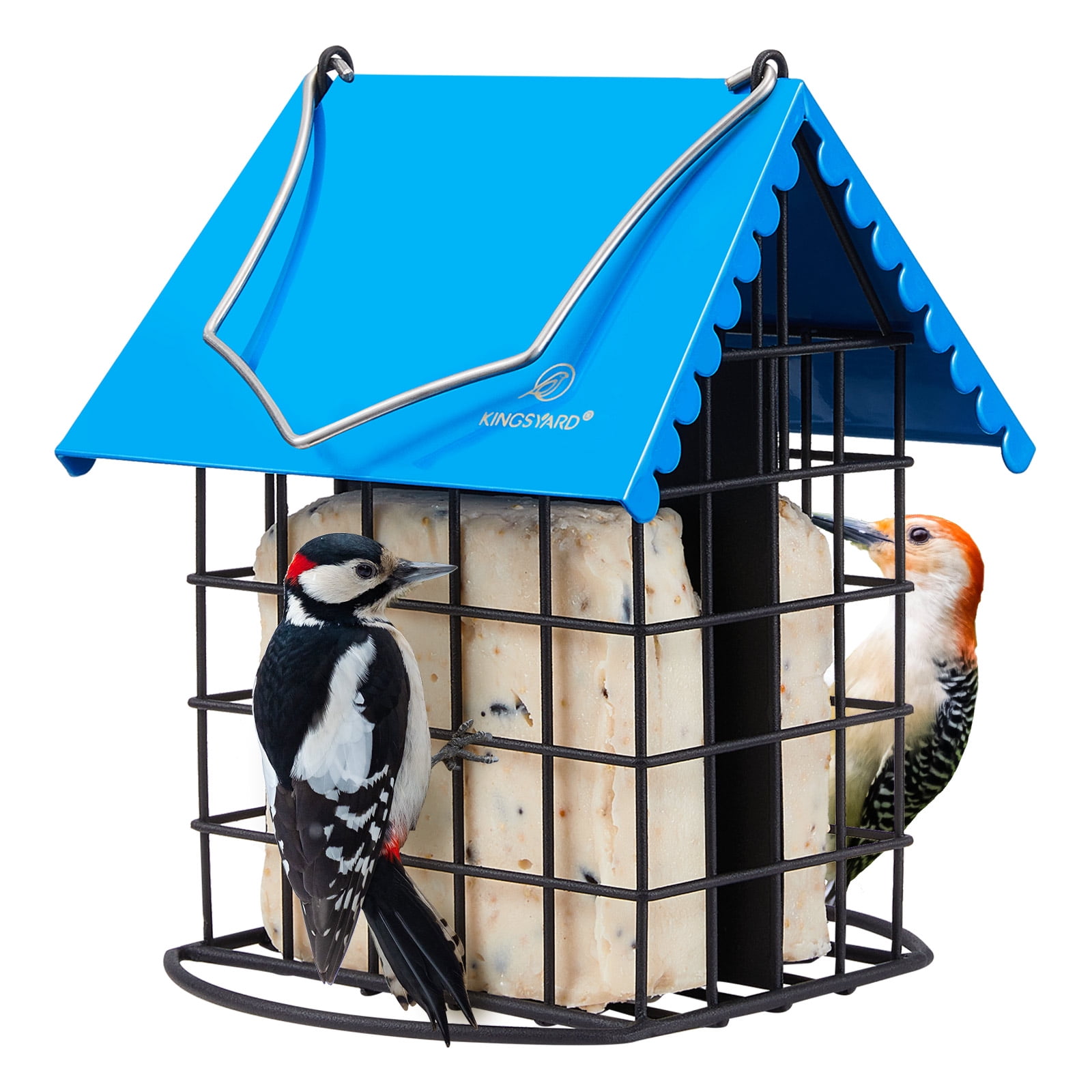 Blue Metal Hanging Suet Bird Feeder with Double Cage