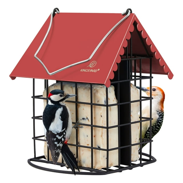 Kingsyard Double Suet Feeder, All Metal, Outdoor Hanging Cage Bird