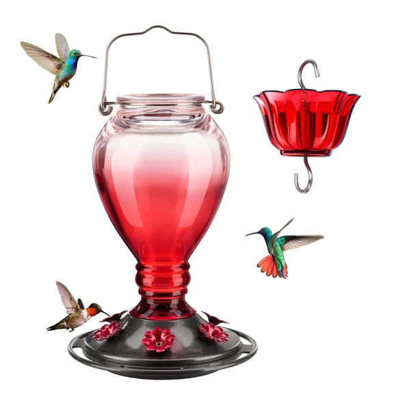 Kingsyard Glass Hummingbird Feeder - 6 Bee Guard Feeding Ports & Ant Moat, 24 oz Leak Proof, Wild Bird Feeder for Outdoors Hanging, Easy to Clean & Refill, Garden Yard Decor, Red & Pink