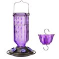 thumbnail image 1 of Kingsyard Glass Hummingbird Feeder for Outdoor Hanging, 24 Ounces, Ant Moat Included, Purple, 1 of 9