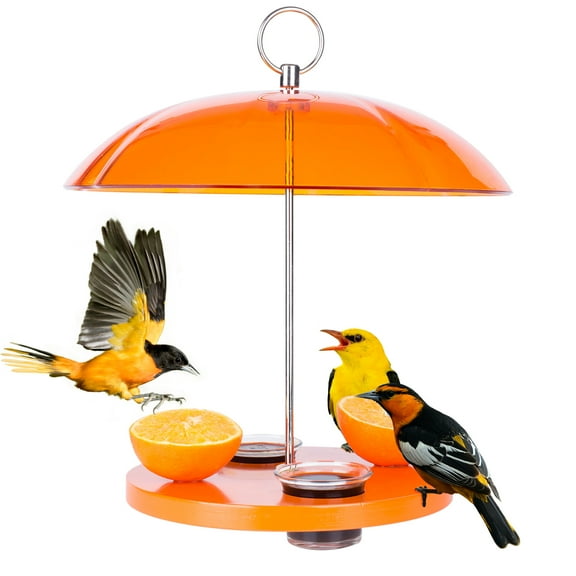 Kingsyard Oriole Bird Feeder for Outside With Big Dome Orange Fruit, Jelly, Mealworm,Nectar